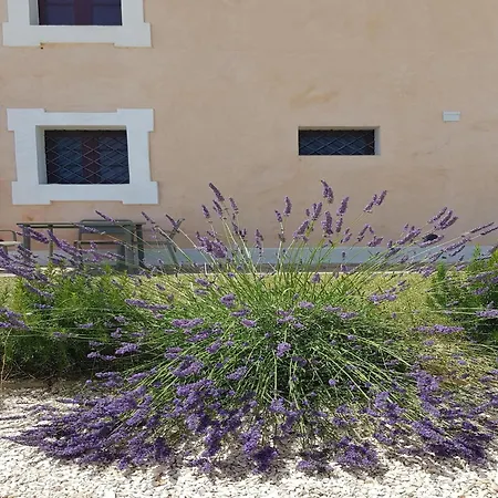 Manor In Marche With Pool & Near Adriatic Beaches