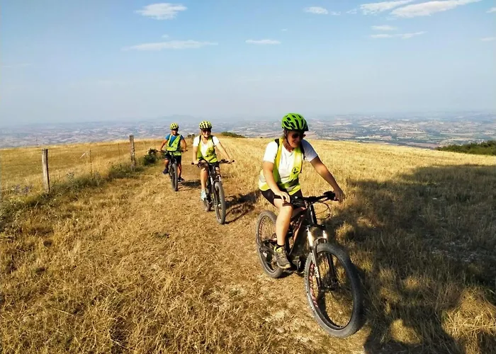 Villa Manor In Marche With Pool & Near Adriatic Beaches